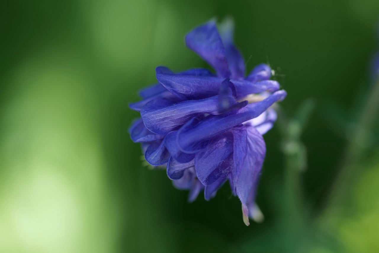 Floricultura Menina Flor