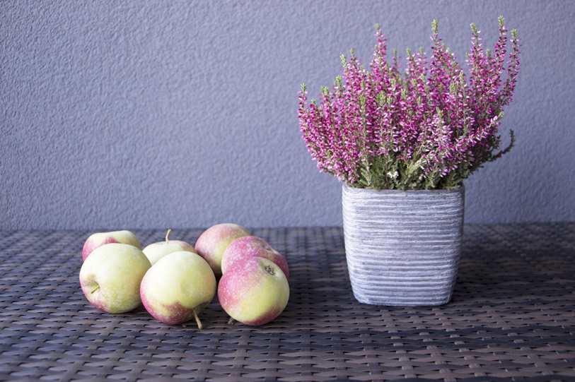 Floricultura Menina Flor