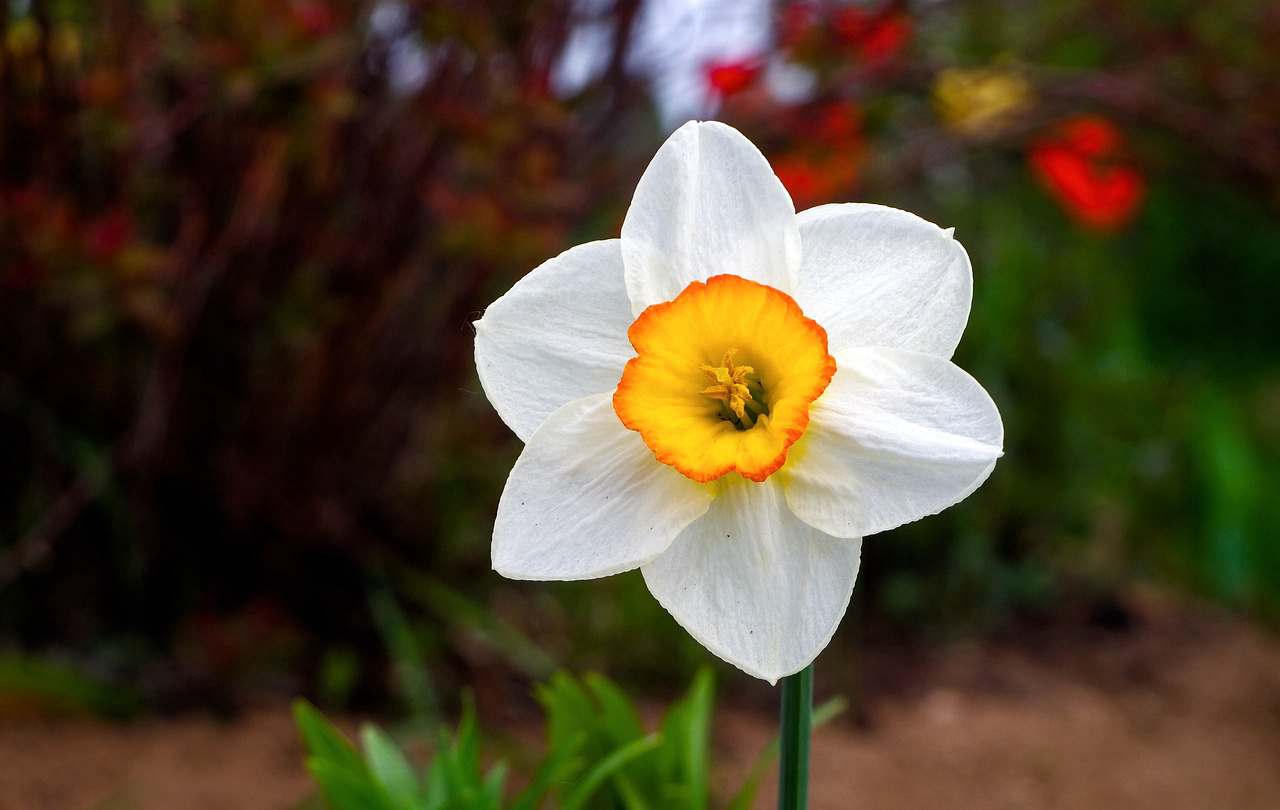 Floricultura Menina Flor