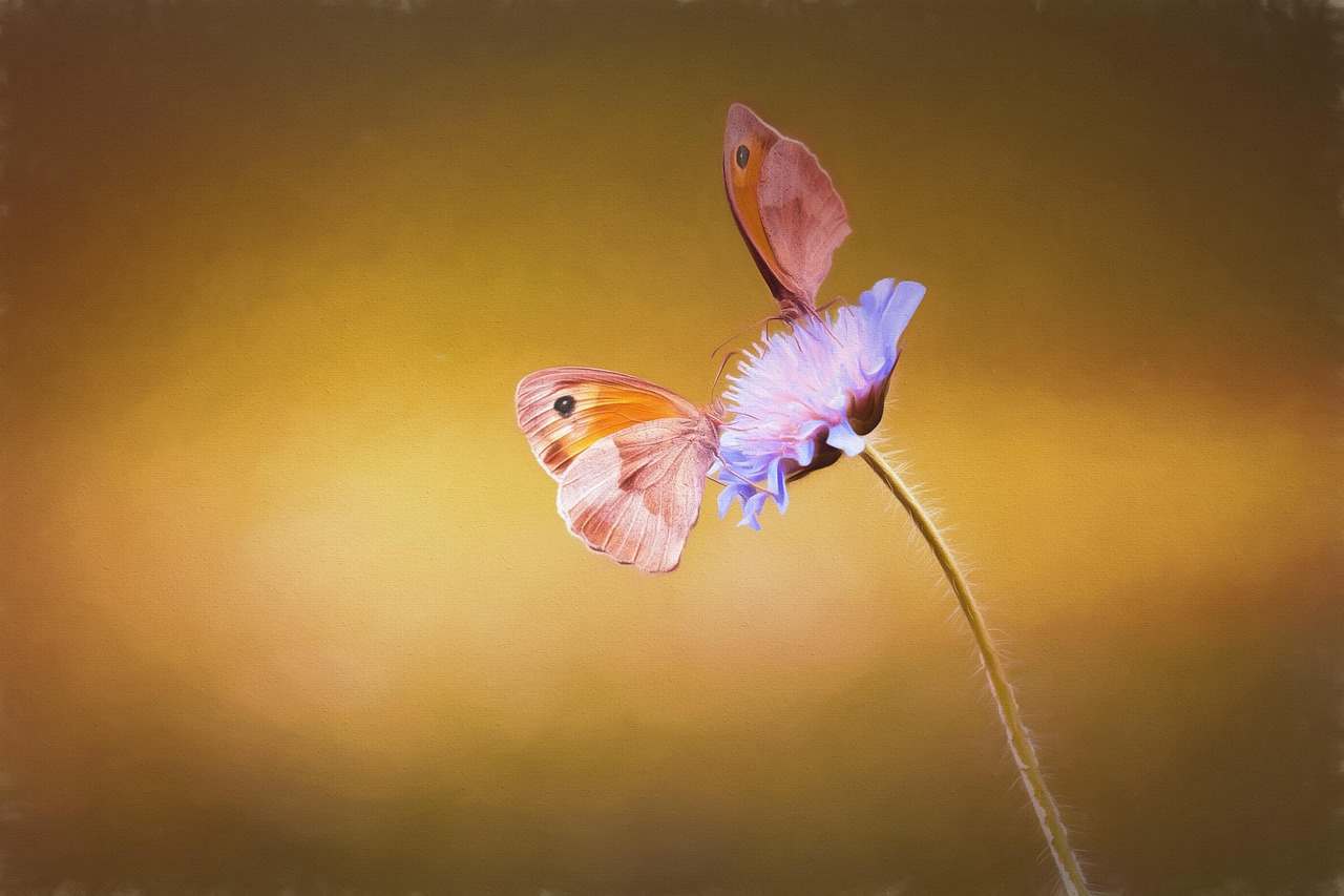 Floricultura Menina Flor