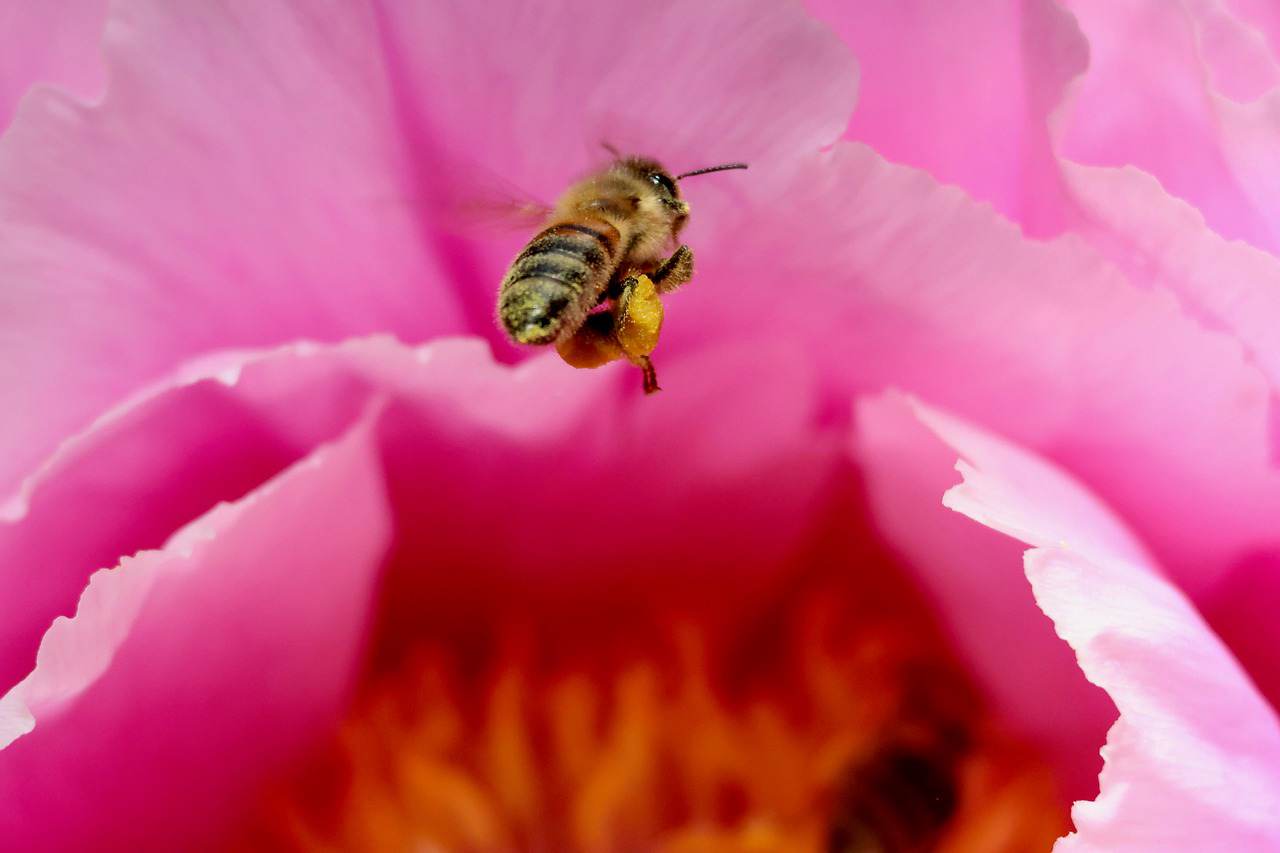 Floricultura Menina Flor