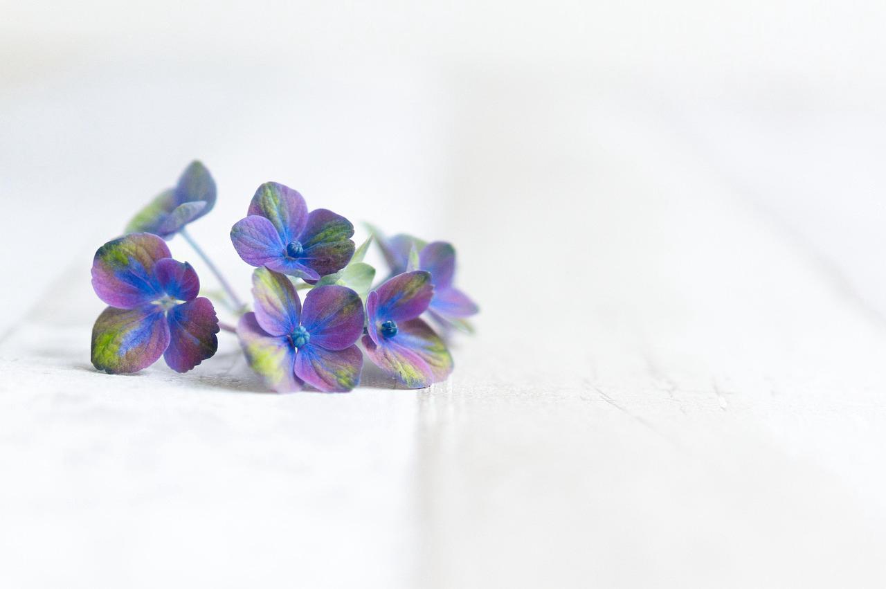 Floricultura Menina Flor