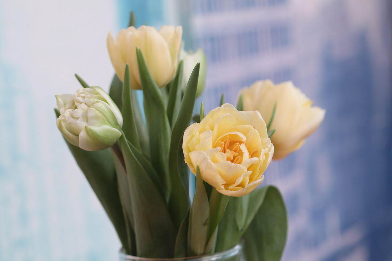 Floricultura Menina Flor