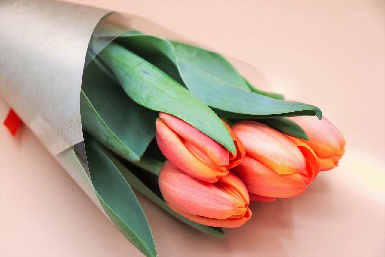 Floricultura Menina Flor