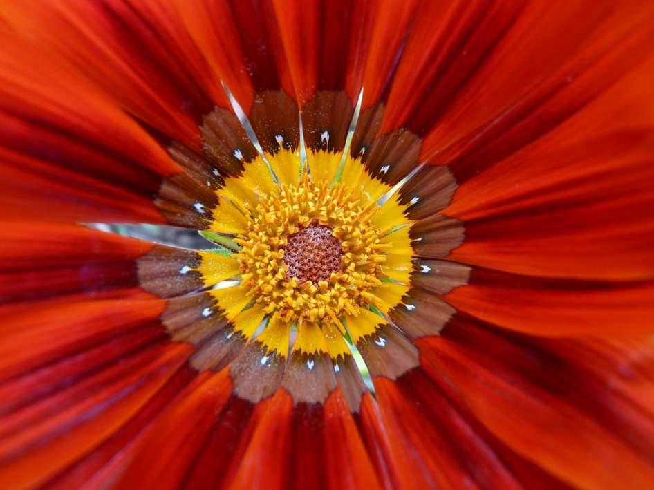 Floricultura Menina Flor