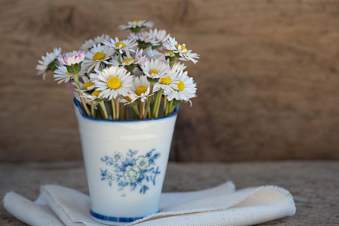 Floricultura Menina Flor